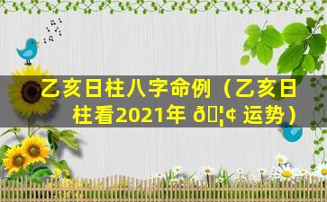 乙亥日柱八字命例（乙亥日柱看2021年 🦢 运势）